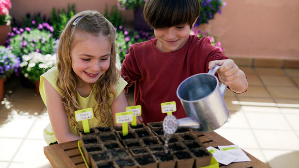 Give gardening a go with Sembra sow and grow your own kits