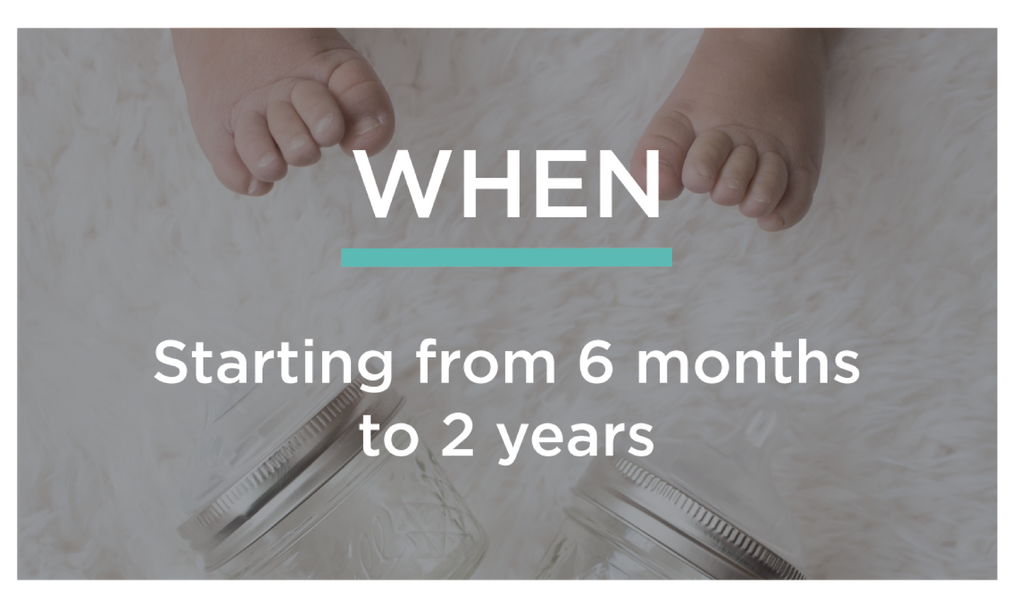 start incorporated healthy fats into baby's diet from 6 months to two years