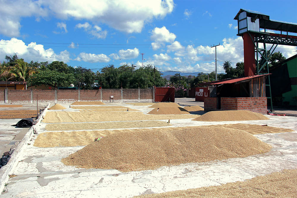 Nicaragua