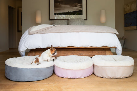 designer donut dog bed