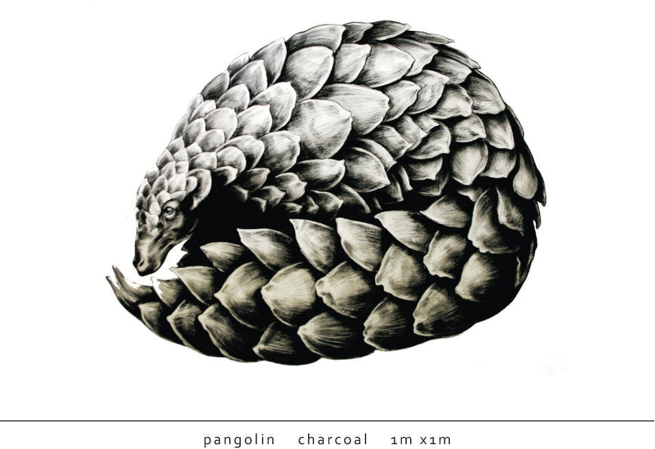 Tori Stowe Artist Pangolin