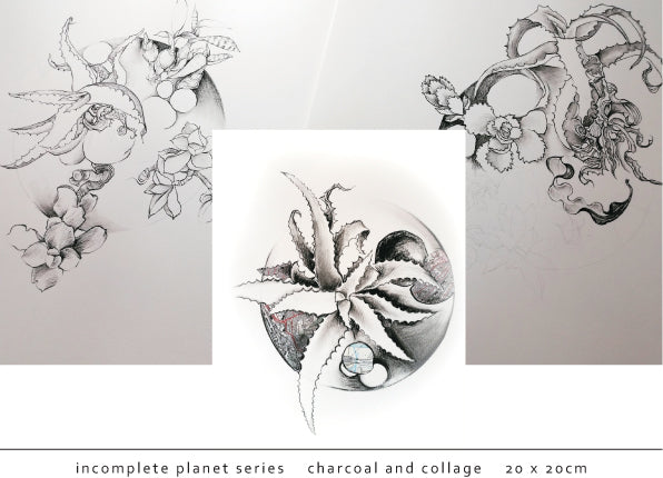 Tori Stowe Artist Plant Series