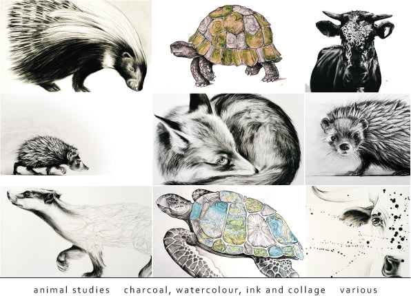 Tori Stowe Artist Animal Studies
