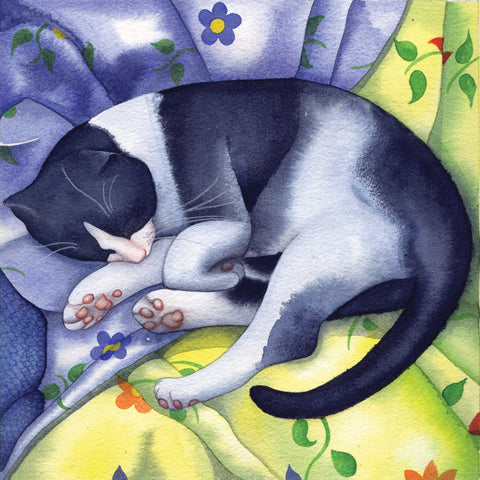 Sleeping Tom by Kate Green