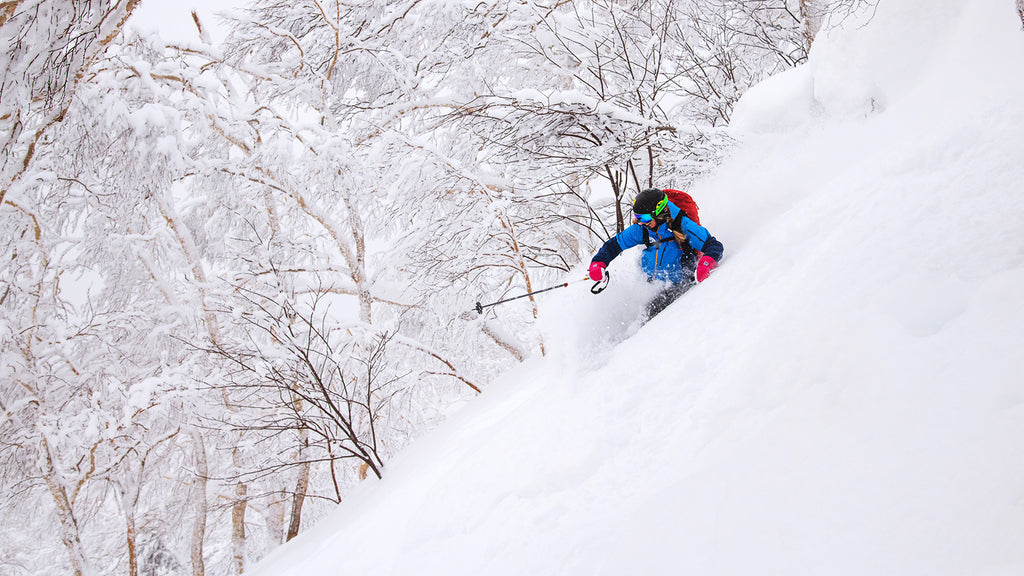 The Iconic Tree Skiing of Hokkaido, Japan
