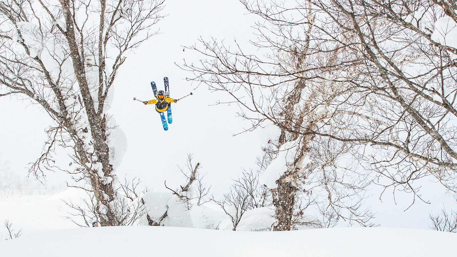 Flylow athlete Scotty VerMerris shows off the incredible tree skiing in Japan.