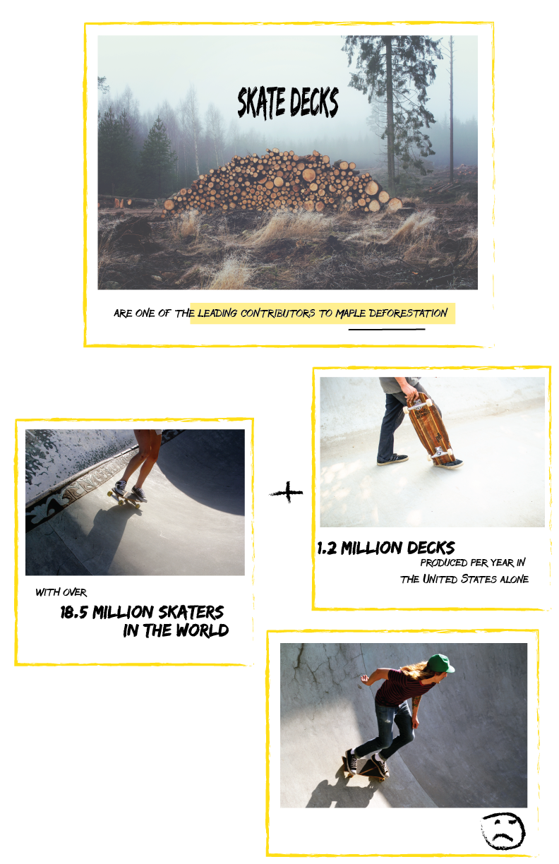 Potaito Boards Skateboards - Made Sustainably in California