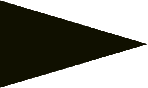 Black Triangle Flag - Nylon 