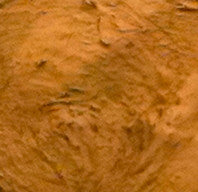 Pale Gold Bronzing Mini