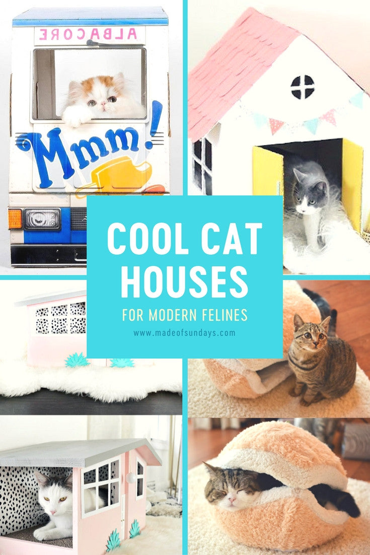 Cool Cat homes for modern felines