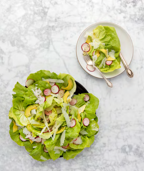 Butter Lettuce Avocado Radish