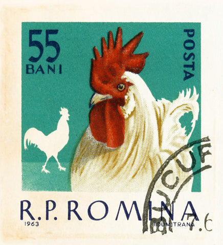 ROMANIA 19