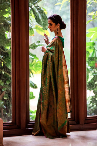 TANCHOI BANARASI SAREE