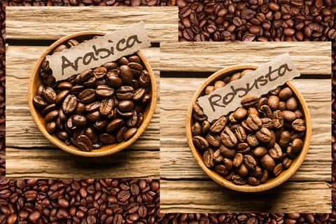 Where to Buy Arabica Coffee Beans 