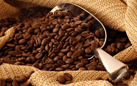 What Are The Types Of Coffee Beans Arabica Coffee Vs Robusta Coffee