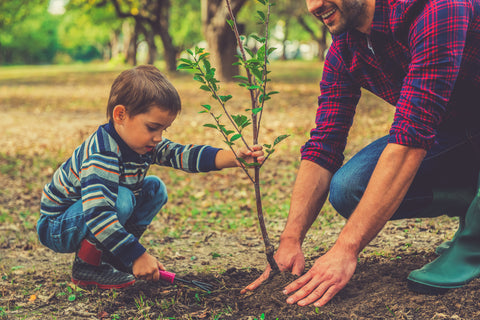 kid and dad planting tree