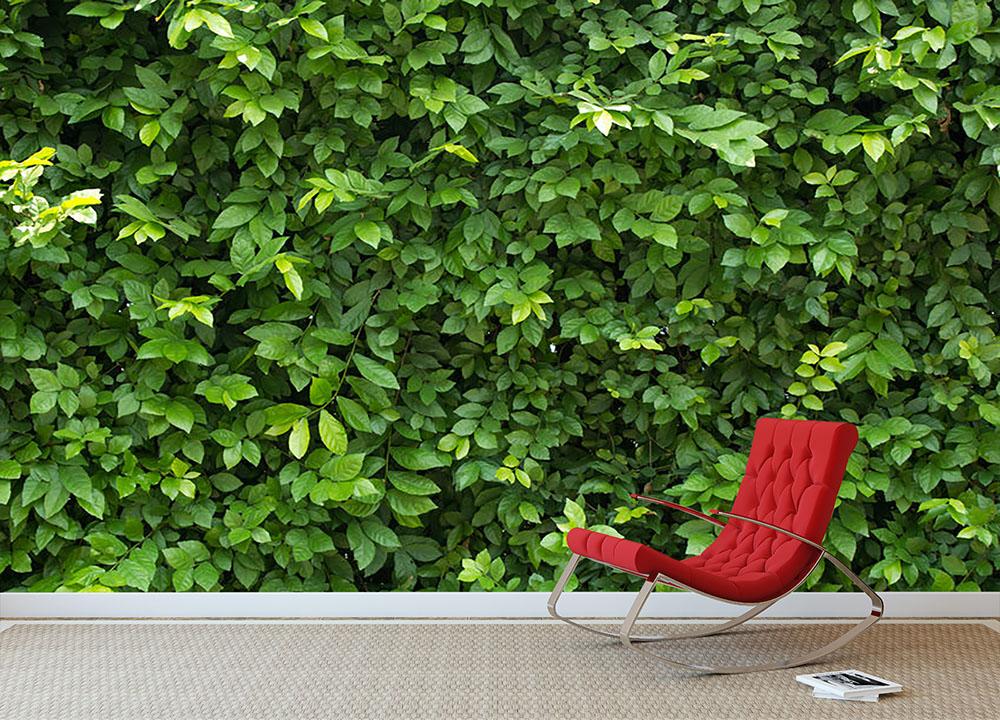Green leaves for background Wall Mural Wallpaper | Canvas Art Rocks