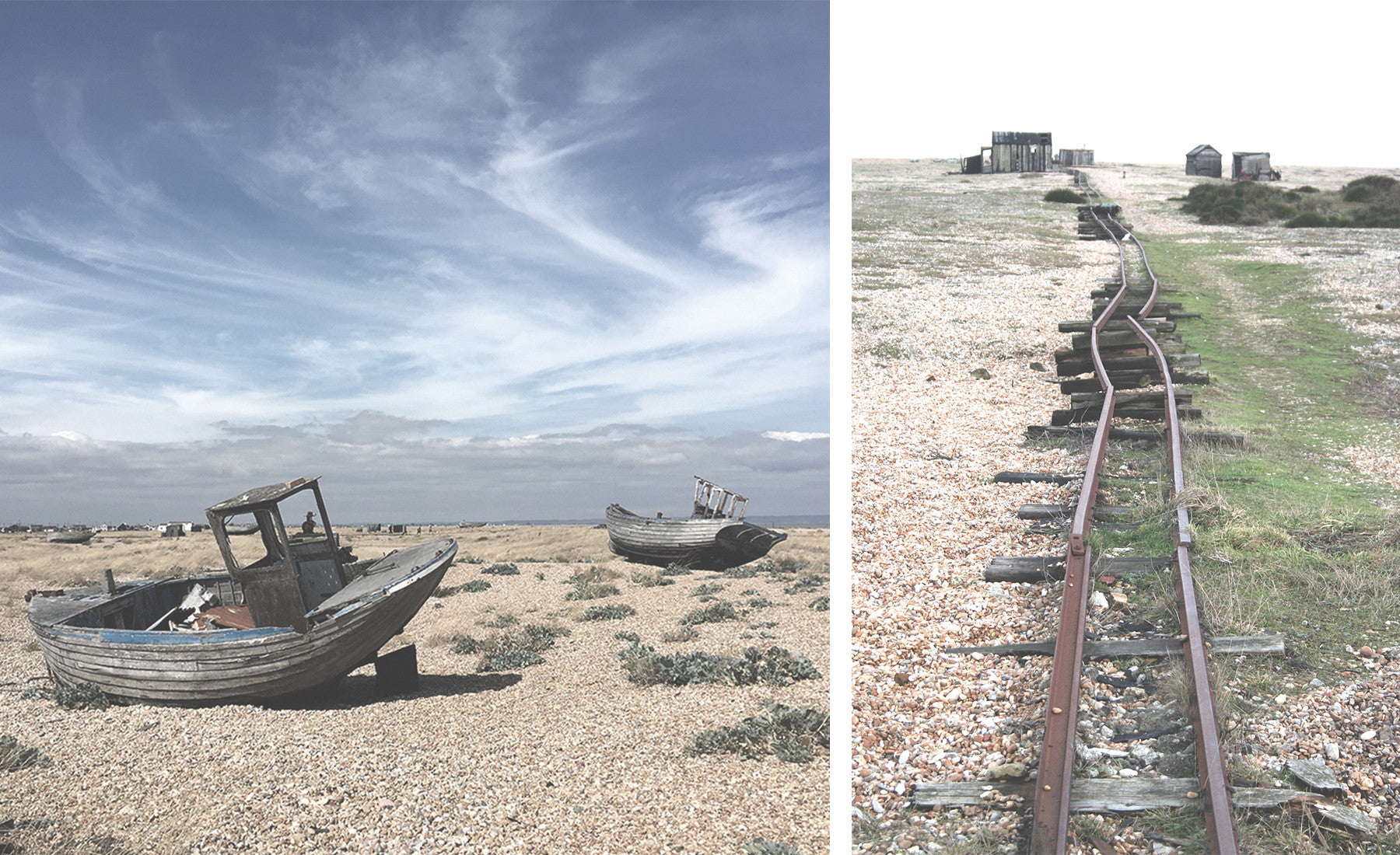 dungeness-comp