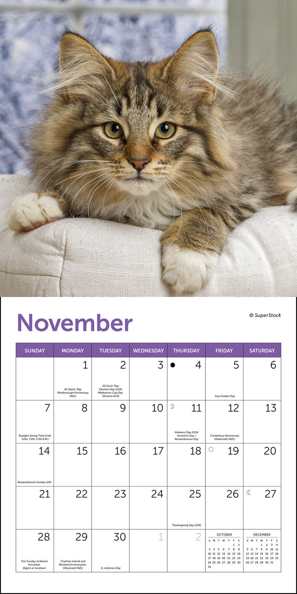Cats By Anne Mortime Slim Calendar 2021 
