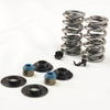 DUAL VALVE SPRING KIT, MANLEY TO SUIT LS