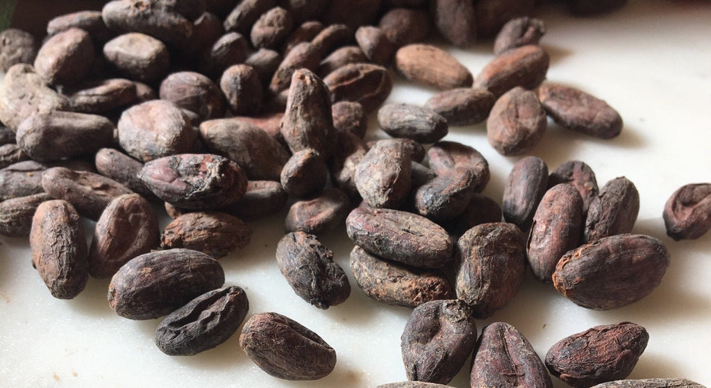 Cacao Beans from the Philippines