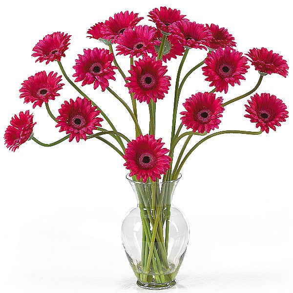 Gerbera-Daisy.jpg