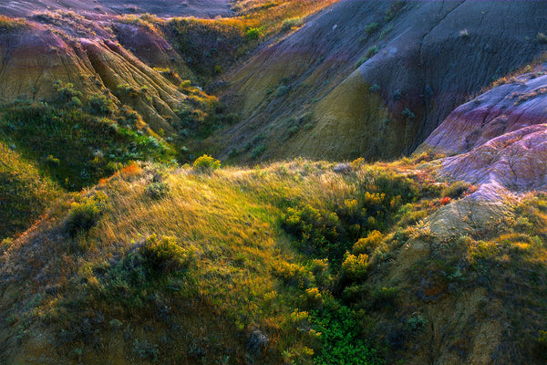 Color landscape photography by film photographer John Crane