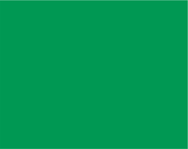 ADA ALTERNATIVE BRIGHT GREEN