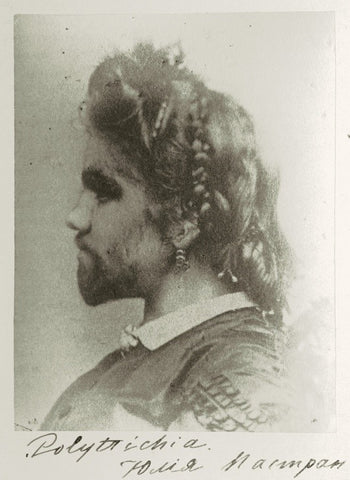 julia