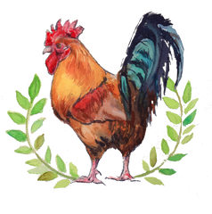 Rooster Drawing