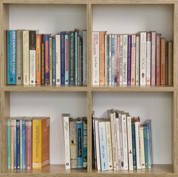 Make Furniture - Plywood Bookshelf with open back and individual square