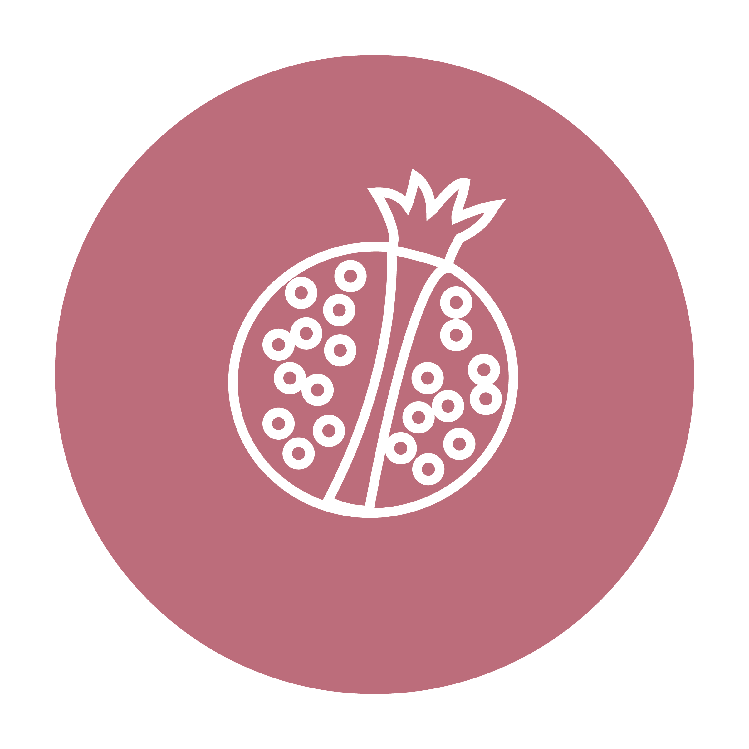 Pomegranate Seed Oil Icon