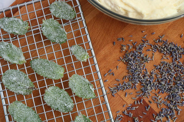 Grey Ghost Bakery Easter REcipe Lemon Lavendar Dirt Cake with Sugared Mint Leaves