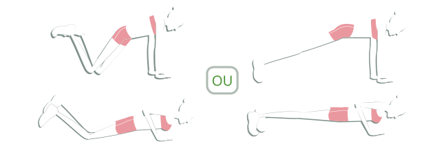 Circuit haut du corps : pompes