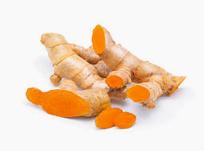 Curcuma