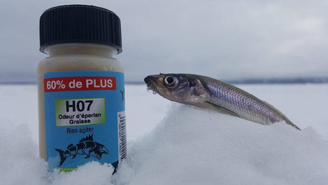 attractant pour la peche molldem h07