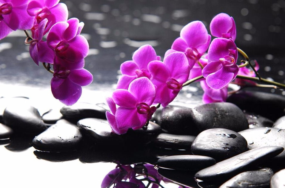 Beautiful Purple Orchid Zen Stone Wallpaper Mural for Home or Business