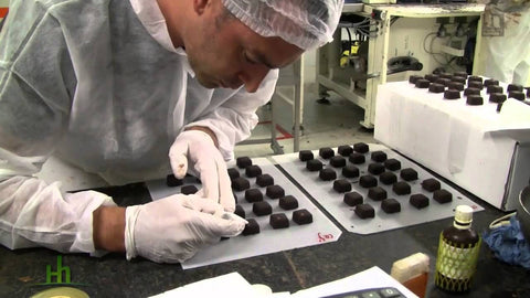 Making Belvas Chocolate Truffles