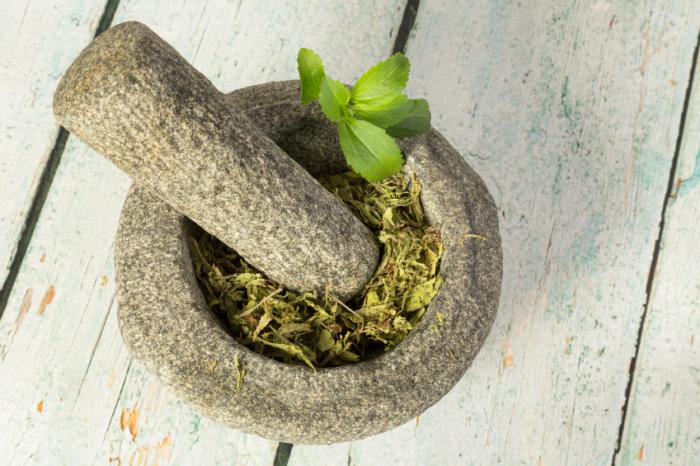 Stevia leaves - dried and fresh, ready to grind in a pestle and mortar