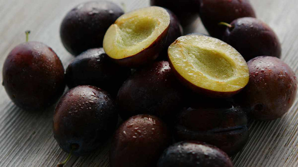 Plum recipes