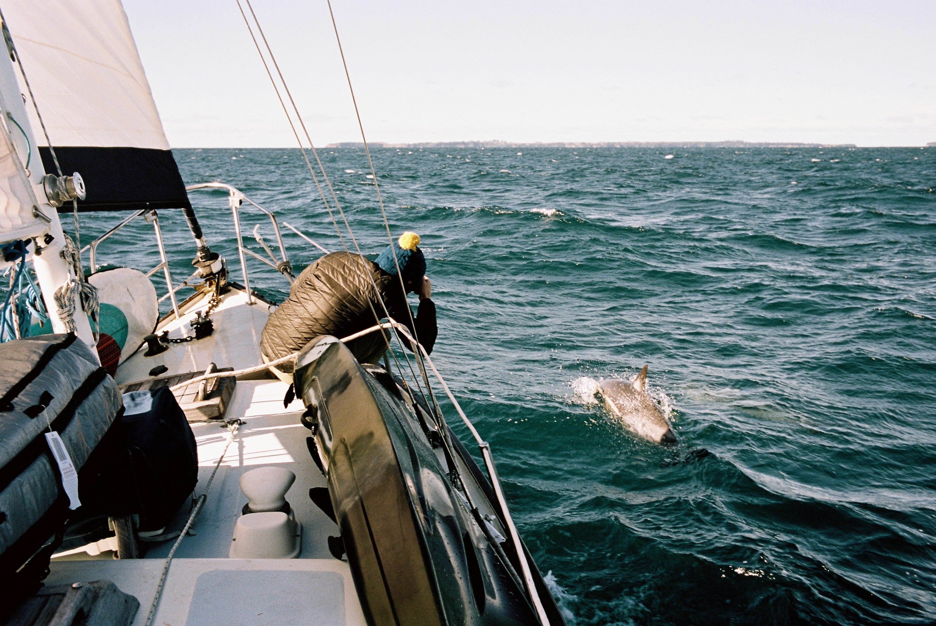 Skip James Dolphin