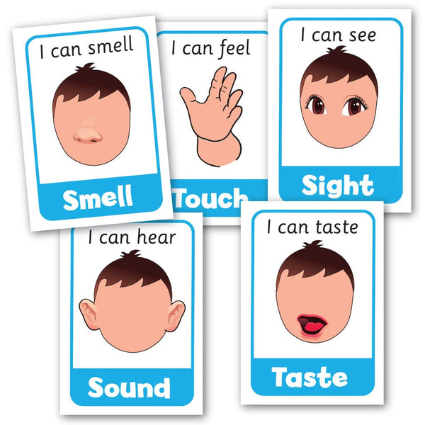 five-senses-posters-smart-kids-au