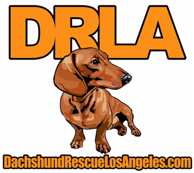 Dachshund Rescue Los Angeles Logo