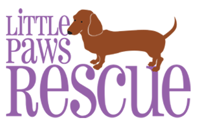 Little Paws Dachshund Rescue Logo