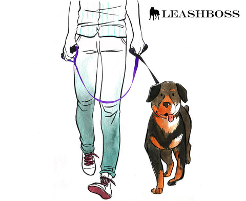 dual handle dog leash by leashboss