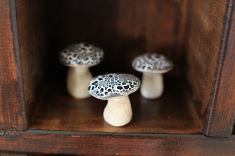 miniature mushrooms
