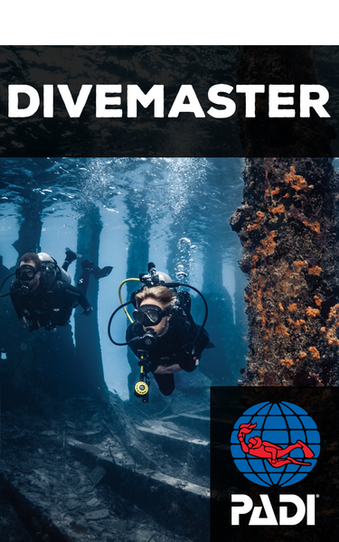 Padi Certification Divemaster Course Tarpoon Lagoon Dive Center