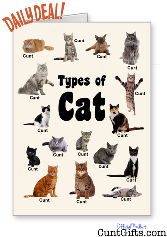 Types of Cat Cunts Collection DAILY DEAL