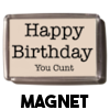 Happy Birthday You Cunt - Magnet
