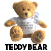 There's no I in team - Teddy Bear